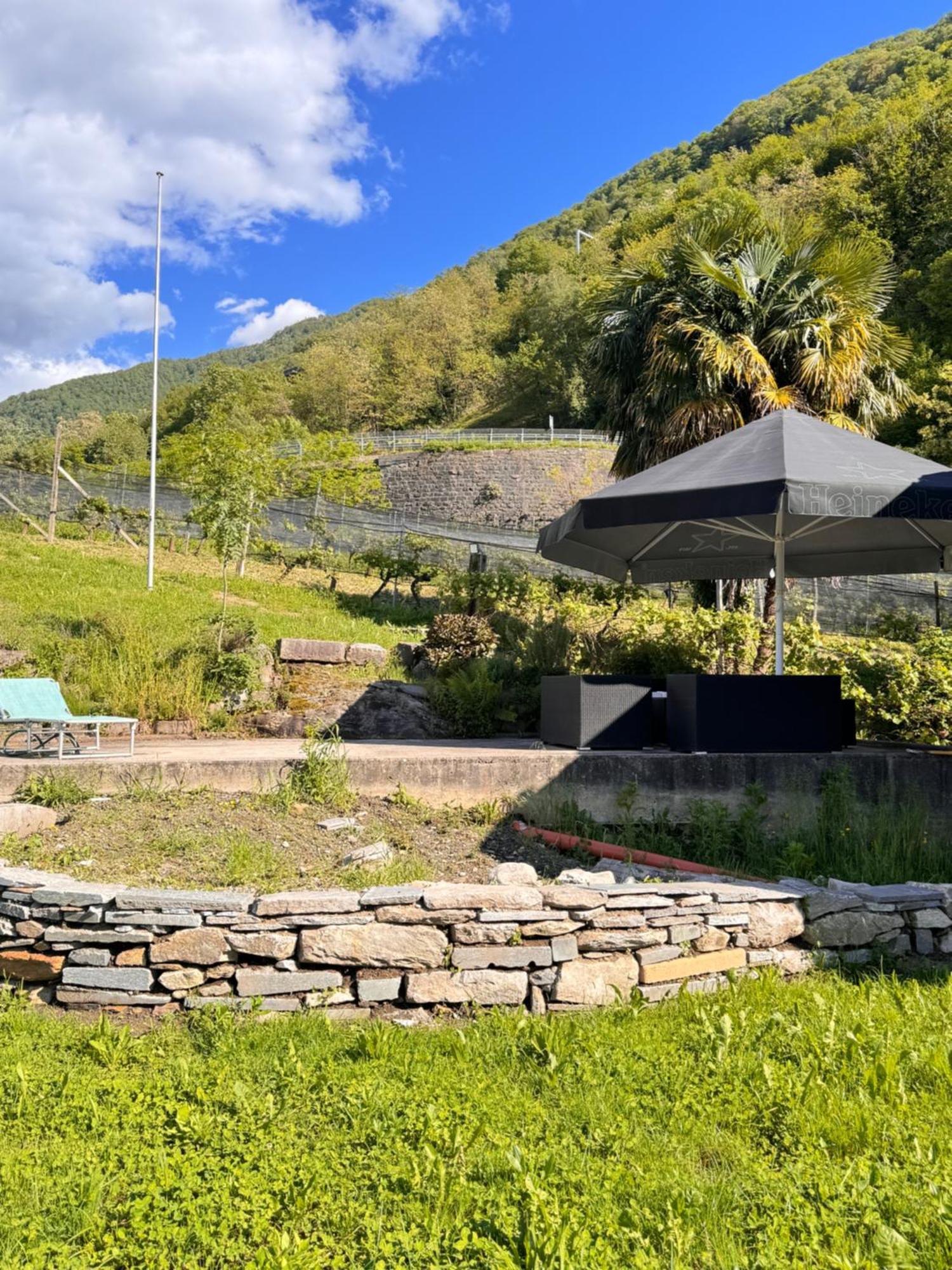 Viva Bacco Bed & Breakfast Gambarogno Exterior photo
